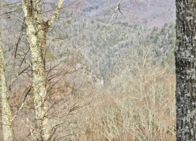 Sitting at just over 3,500 feet in elevation, 1839 Grandview - photo 20