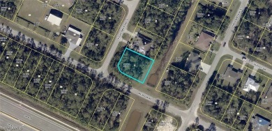 Lehigh Acres Area Lot For Sale in Lehigh Acres Florida