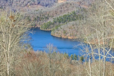 Sitting at just over 3,500 feet in elevation, 1839 Grandview - photo 21