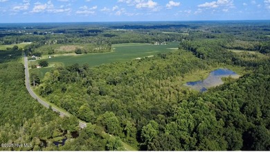(private lake, pond, coastal) Acreage For Sale in Fairmont North Carolina