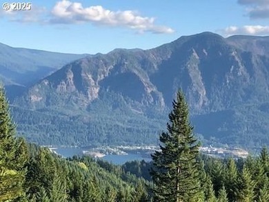 Tucked away on 22 private acres above Stevenson, Washington - photo 6