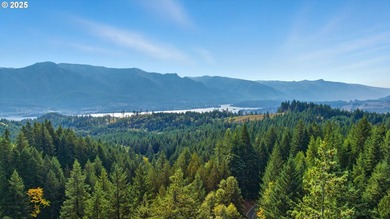 Tucked away on 22 private acres above Stevenson, Washington - photo 7