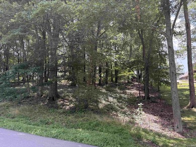 Great building spot on this wooded lot in Christmas Lake Village - photo 2