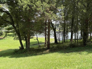 Great building spot on this wooded lot in Christmas Lake Village - photo 3