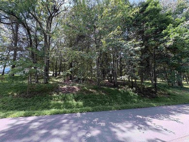 Great building spot on this wooded lot in Christmas Lake Village - photo 4