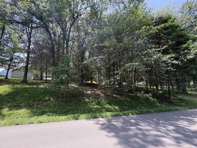 Great building spot on this wooded lot in Christmas Lake Village - photo 5