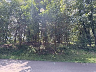 Great building spot on this wooded lot in Christmas Lake Village - photo 6