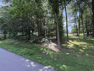 Great building spot on this wooded lot in Christmas Lake Village - photo 7
