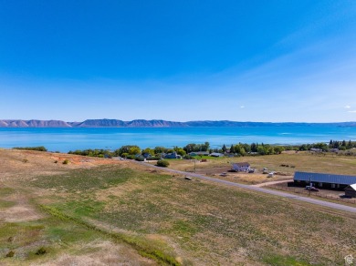 Lake Acreage For Sale in Fish Haven, Idaho