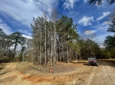 Lake Eddins Lot SOLD! in Pachuta Mississippi