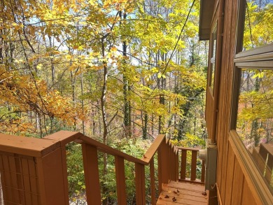 Tucked in the woods- it's like your own private treehouse! This
