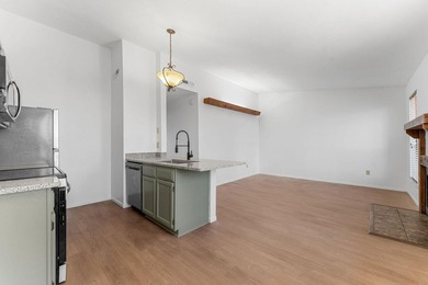 BLANK SLATE! The renovation is DONE--the fun part is yours! This - photo 8
