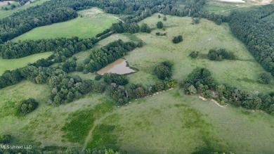 Lake Acreage For Sale in Canton, Mississippi