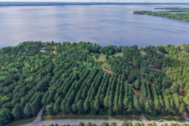 Enjoy spectacular Lake Petenwell views from this private and - photo 1
