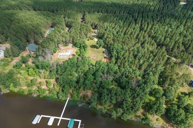 Enjoy spectacular Lake Petenwell views from this private and - photo 3