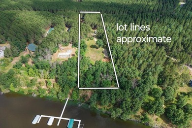 Enjoy spectacular Lake Petenwell views from this private and - photo 4