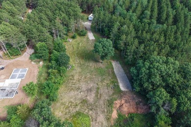 Enjoy spectacular Lake Petenwell views from this private and - photo 5