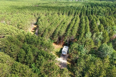 Enjoy spectacular Lake Petenwell views from this private and - photo 8