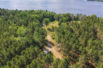 Enjoy spectacular Lake Petenwell views from this private and - photo 10
