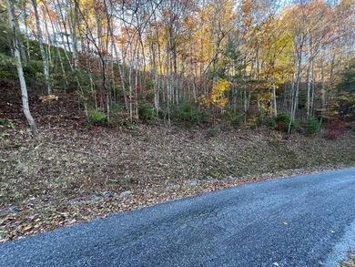 Possible views in this lot that is located in Fontana View, a - photo 11