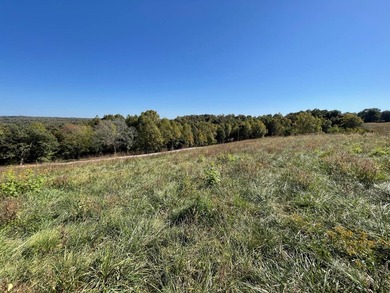 Take a look at this view! This 3.515-acre property, per new - photo 12