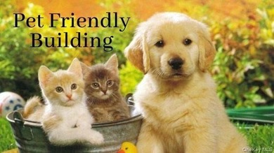 Welcome to Franklin Manor, where pre-war character and modern