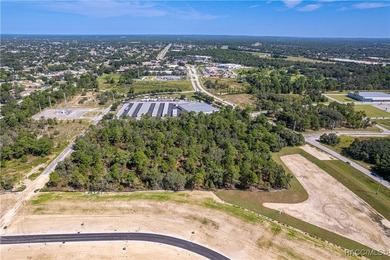 Discover a prime piece of real estate at the junction of - photo 15