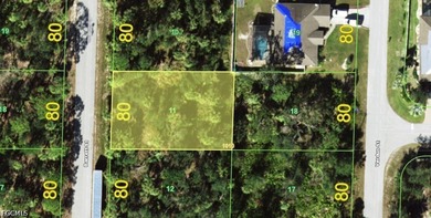 Build your Florida dream home on this 80' x 125' residential lot - photo 1