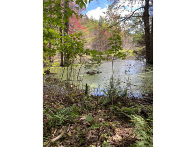 (private lake, pond, creek) Acreage For Sale in Mcmillan Michigan