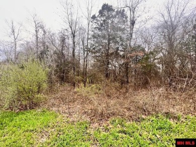 Bull Shoals Lake Lot For Sale in Midway Arkansas