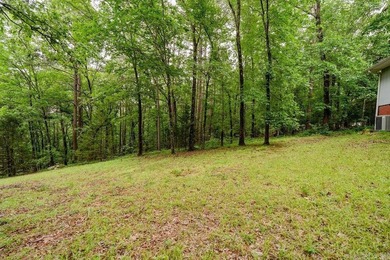 Discover your peaceful Ozark retreat 114 Edgemere Loop in - photo 8
