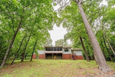 Discover your peaceful Ozark retreat 114 Edgemere Loop in - photo 9