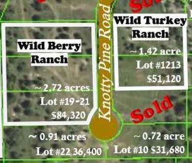 Lake Lot For Sale in Colbert, Oklahoma