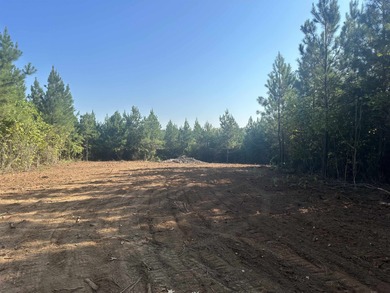 (private lake, pond, coastal) Acreage Sale Pending in Yanceyville North Carolina