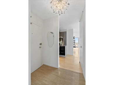880 N LAKE SHORE Dr 16Dh - photo 3