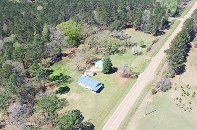Country home nestled on 4.48 acres, features a pond and ample - photo 38