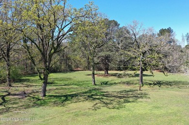 Country home nestled on 4.48 acres, features a pond and ample - photo 40