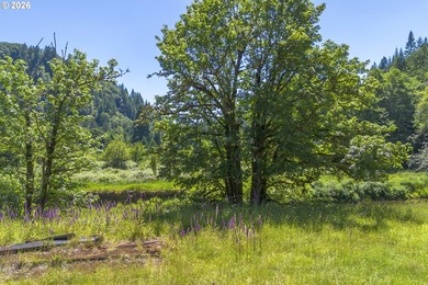 Two homes on over 7 riverfront acres! The 1983 home is 3 bedroom - photo 45