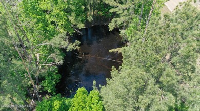 Country home nestled on 4.48 acres, features a pond and ample - photo 46