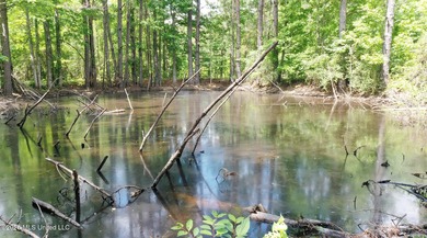Country home nestled on 4.48 acres, features a pond and ample - photo 47
