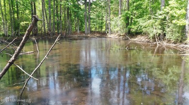 Country home nestled on 4.48 acres, features a pond and ample - photo 48