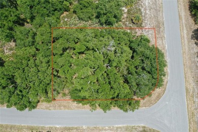 Discover the perfect canvas for your Florida dream home on this - photo 2
