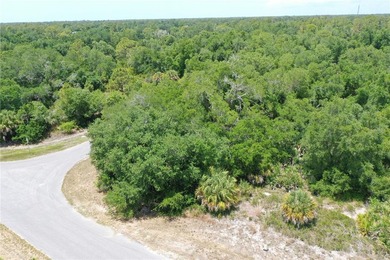 Discover the perfect canvas for your Florida dream home on this - photo 3