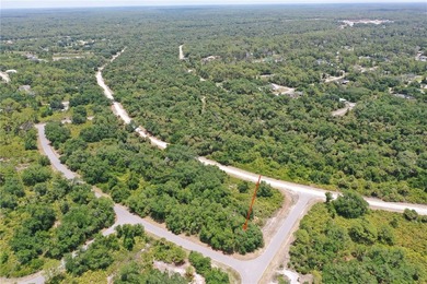 Discover the perfect canvas for your Florida dream home on this - photo 8