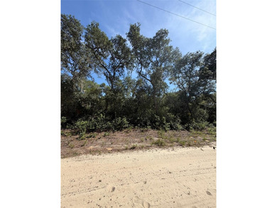 63 Acre lot, Zoned R-4 for residential homesites including - photo 4
