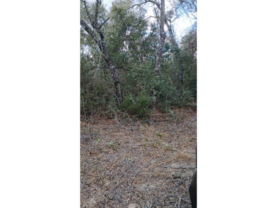 63 Acre lot, Zoned R-4 for residential homesites including - photo 5