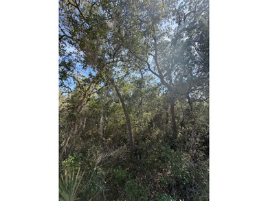 63 Acre lot, Zoned R-4 for residential homesites including - photo 6