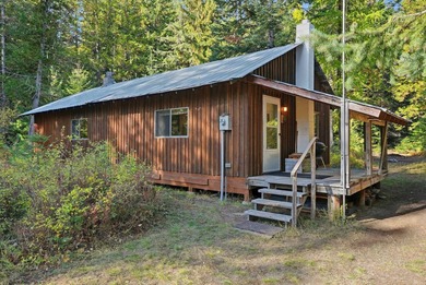Lake Home For Sale in Cusick, Washington