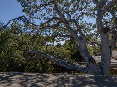 A delightful find in one of MPCC's most coveted neighborhoods - photo 17