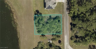 Lake Lot For Sale in Lehigh Acres, Florida